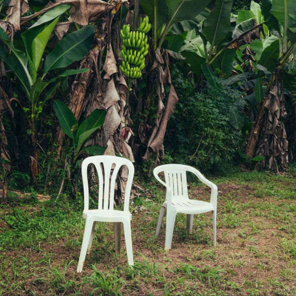Bad Bunny- Debi Tirar Mas Fotos