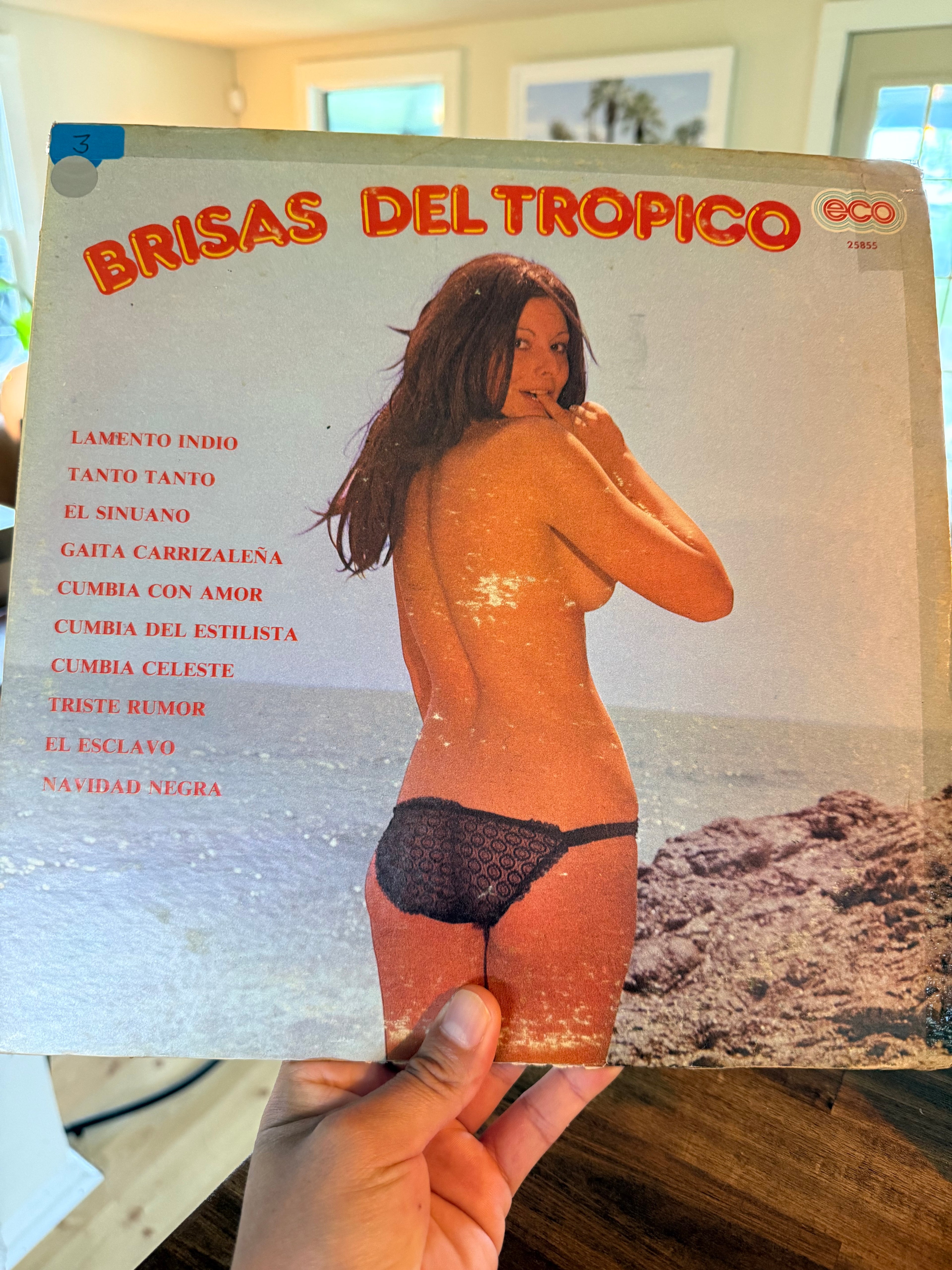 Brisas Del Trópico - Varios Interpretes