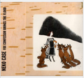 Neko case - Fox Confessor Brings The Flood