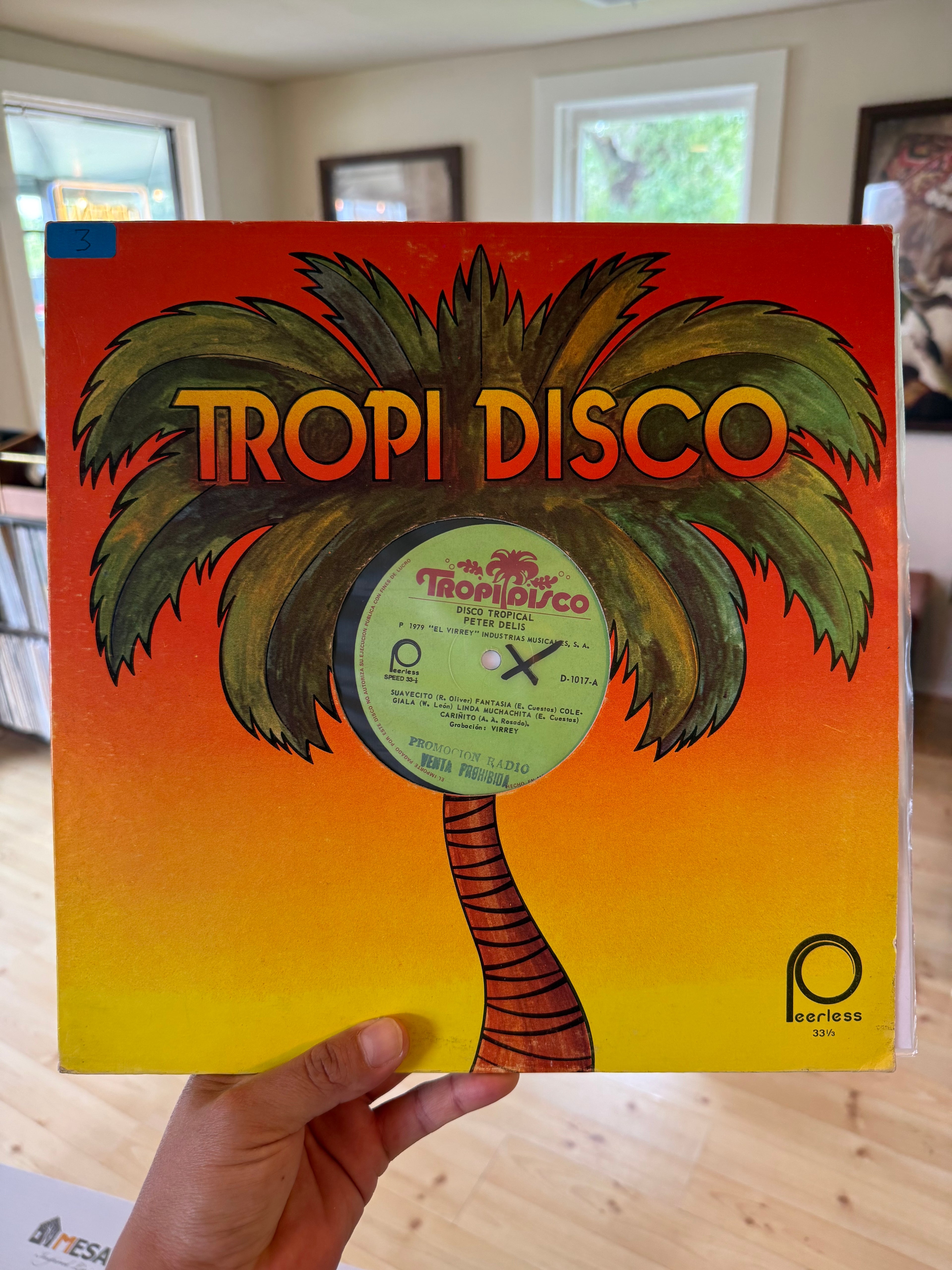 TropiDisco - Disco Tropical by Peter Delis